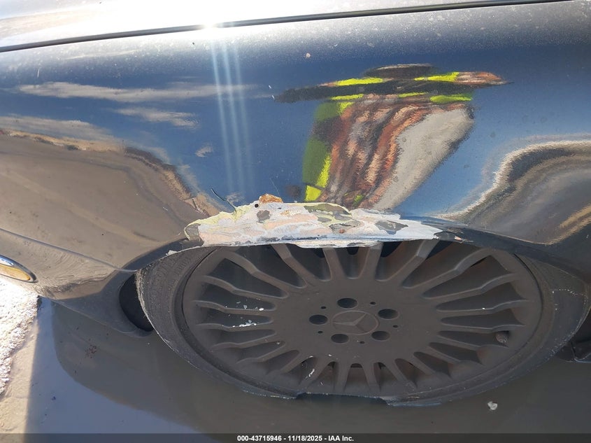 2002 Mercedes-Benz S 500 VIN: WDBNG75J42A309252 Lot: 43715946