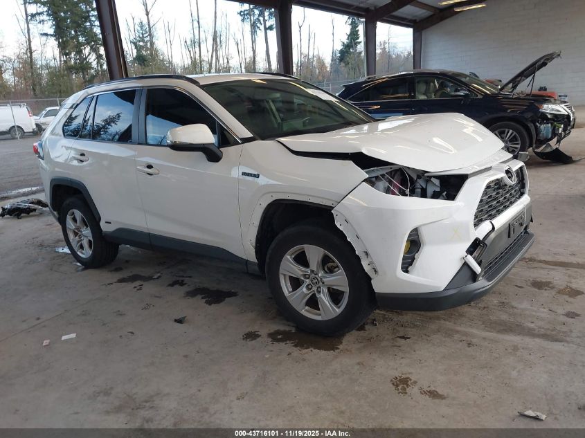 TOYOTA RAV4 HYBRID XLE
