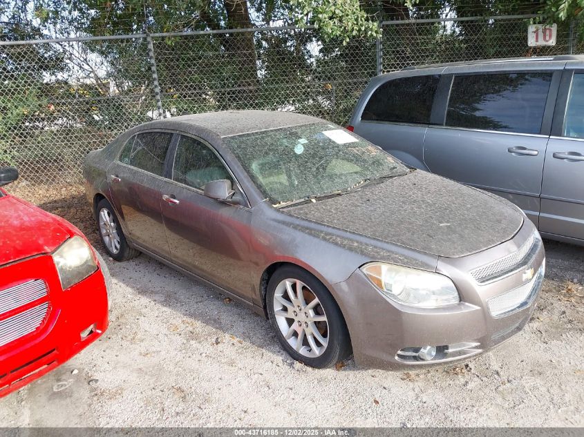 CHEVROLET MALIBU 1LZ