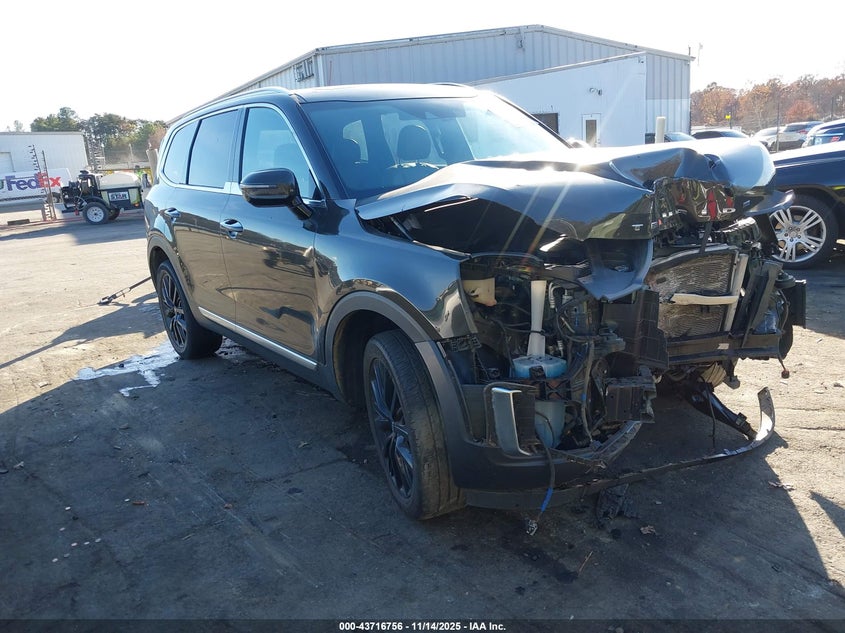 KIA TELLURIDE SX
