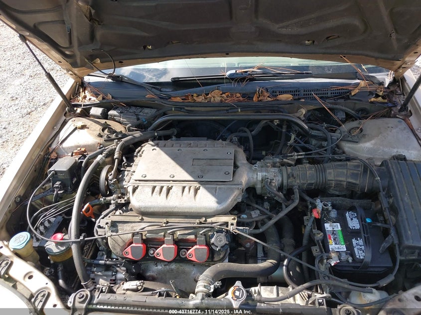 2001 Acura Tl 3.2 VIN: 19UUA56601A016056 Lot: 43716774