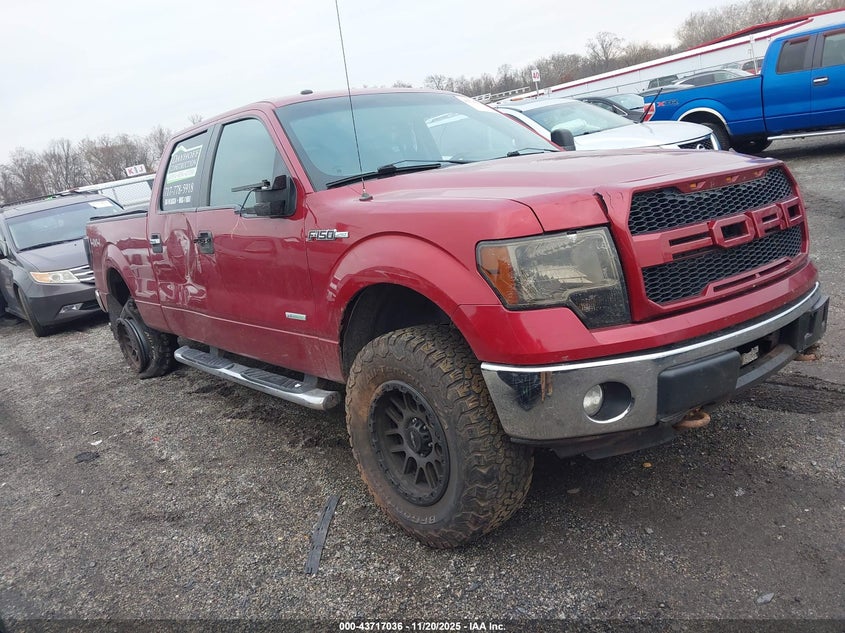 FORD F-150 XLT
