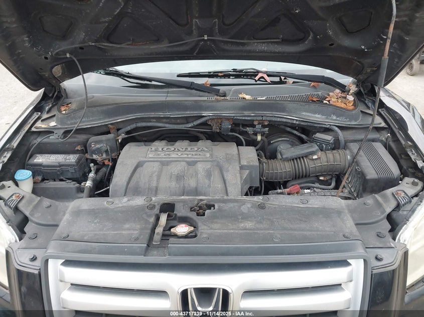 2007 Honda Pilot Ex-L VIN: 2HKYF186X7H516721 Lot: 43717339