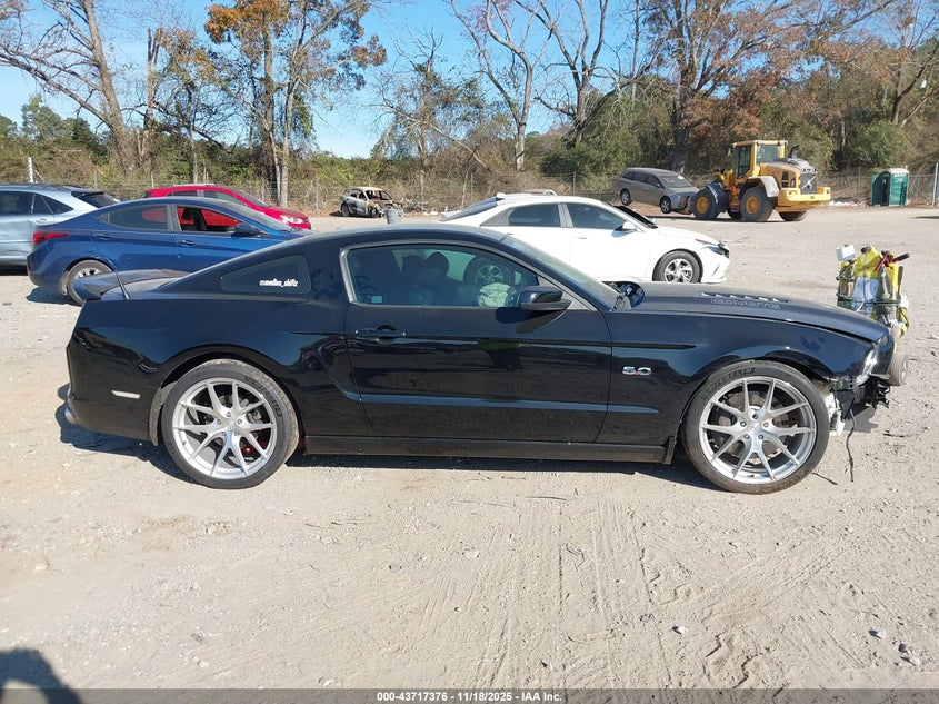 2013 Ford Mustang Gt VIN: 1ZVBP8CF1D5245849 Lot: 43717376