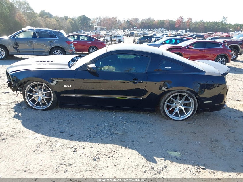 2013 Ford Mustang Gt VIN: 1ZVBP8CF1D5245849 Lot: 43717376