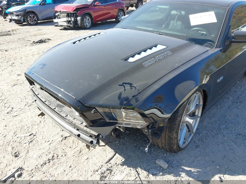 2013 Ford Mustang Gt VIN: 1ZVBP8CF1D5245849 Lot: 43717376