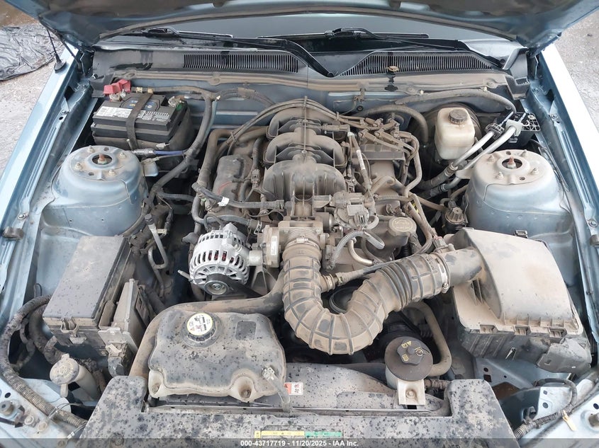 2007 Ford Mustang V6 Deluxe/V6 Premium VIN: 1ZVFT80N775317294 Lot: 43717719