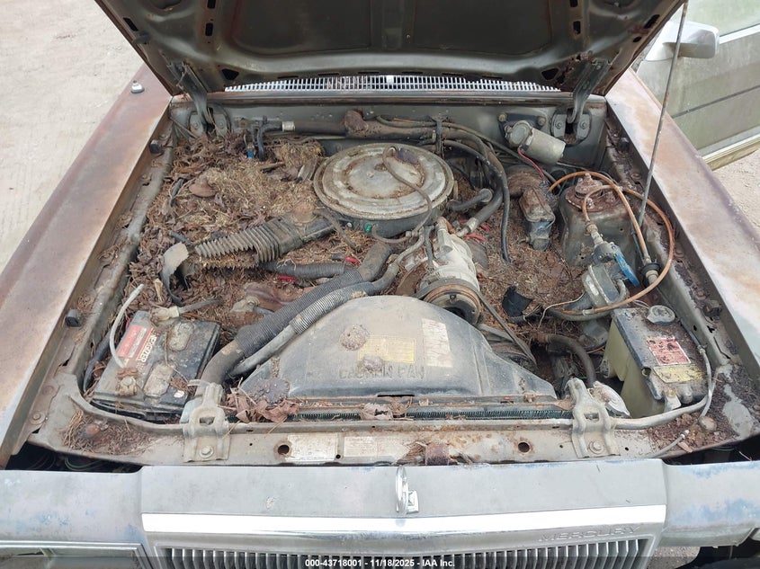 1982 Mercury Cougar VIN: 1MEBP7732CA612162 Lot: 43718001