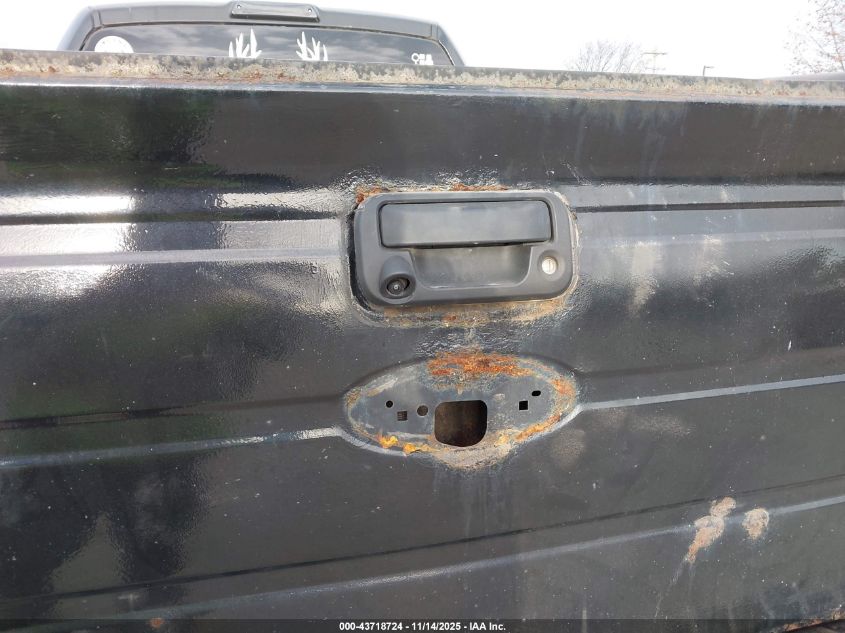 2009 Ford F-150 Fx4/King Ranch/Lariat/Platinum/Xl/Xlt VIN: 1FTPW14V79KC17314 Lot: 43718724