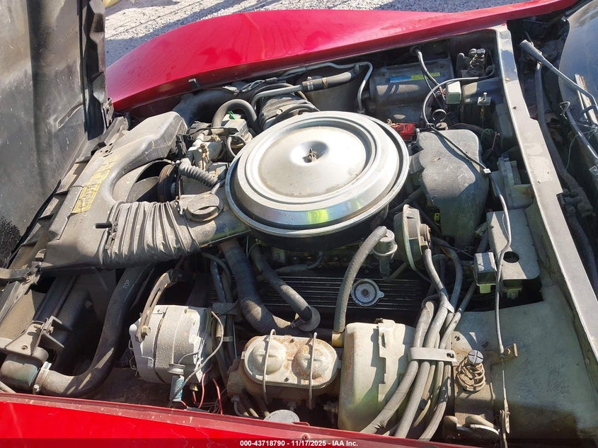 1981 Chevrolet Corvette VIN: 1G1AY876XBS403604 Lot: 43718790