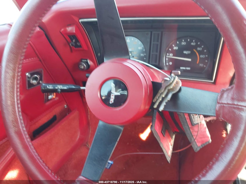 1981 Chevrolet Corvette VIN: 1G1AY876XBS403604 Lot: 43718790