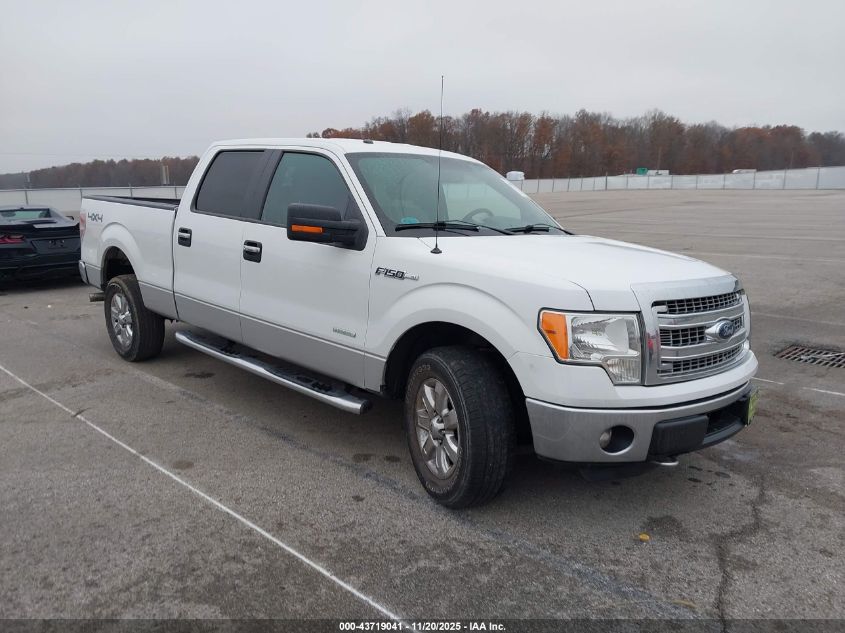 FORD F-150 XLT