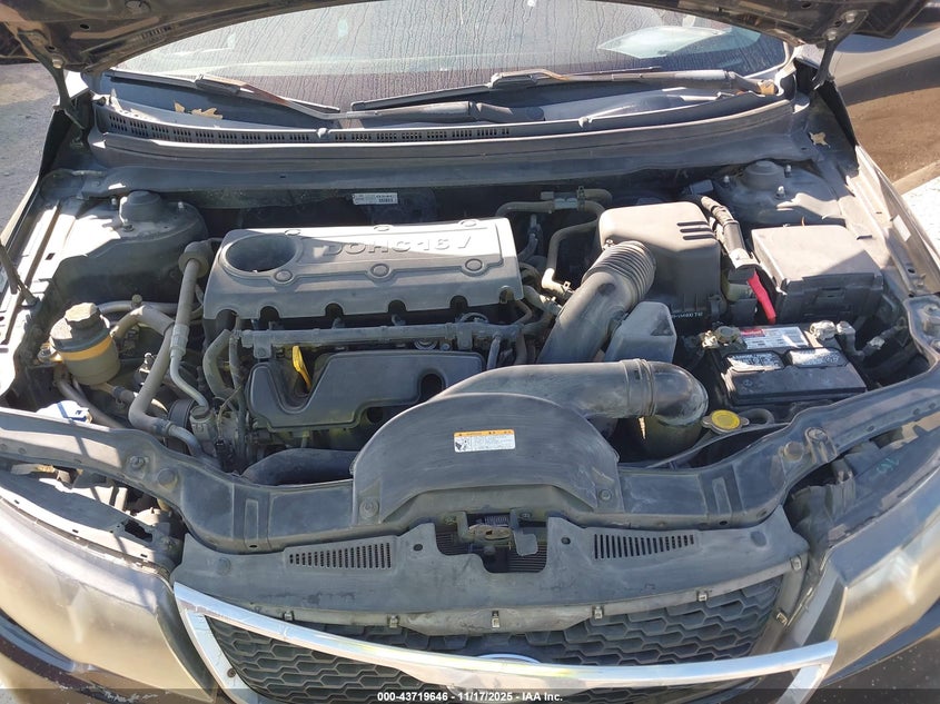 2012 Kia Forte Ex VIN: KNAFU4A23C5564381 Lot: 43719646