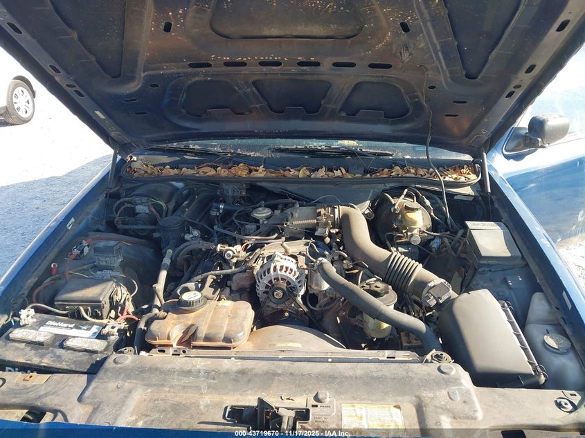 2002 Ford Crown Victoria Natural Gas Vehicle/Police/Police Street Appearance VIN: 2FAFP71W72X157701 Lot: 43719670