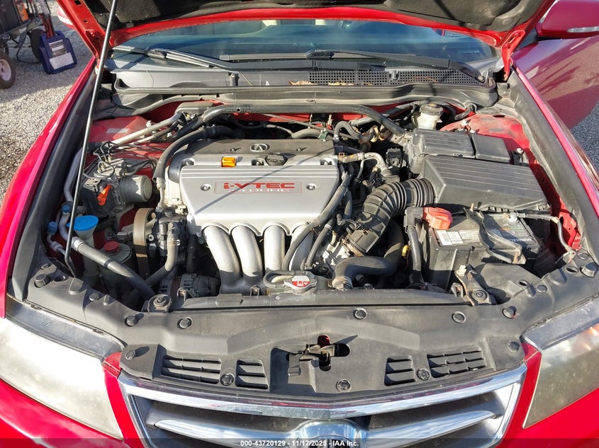 2006 Acura Tsx VIN: JH4CL96876C030558 Lot: 43720129