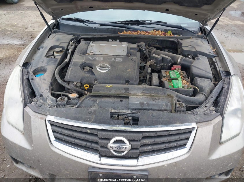 2008 Nissan Maxima 3.5 Se VIN: 1N4BA41E28C802489 Lot: 43720644