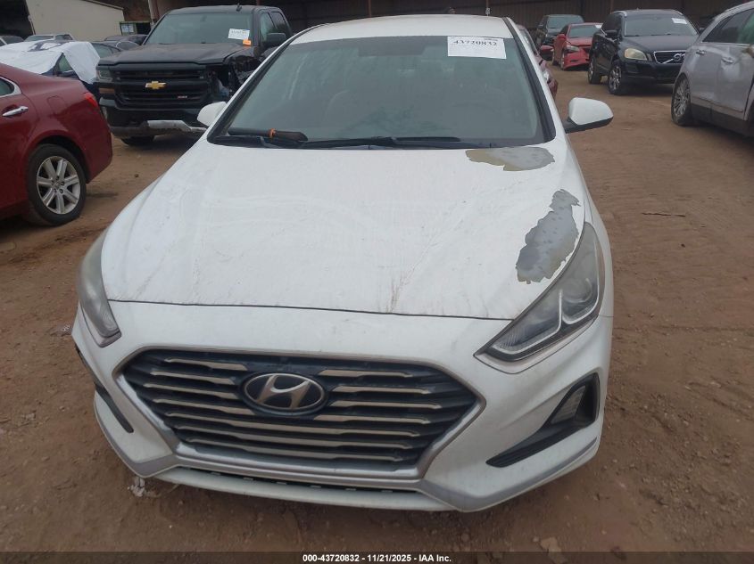 2019 Hyundai Sonata VIN: 5NPEZ4AF3KH797117 Lot: 43720832