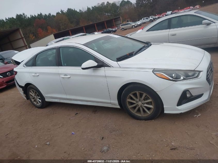 2019 Hyundai Sonata VIN: 5NPEZ4AF3KH797117 Lot: 43720832