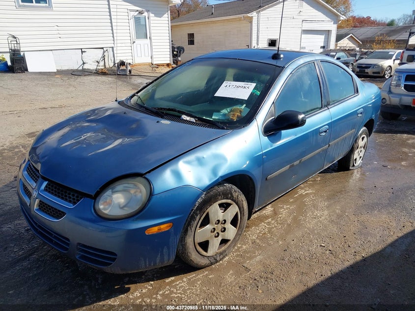 1B3ES26C83D230011 2003 DODGE NEON photo no. 2