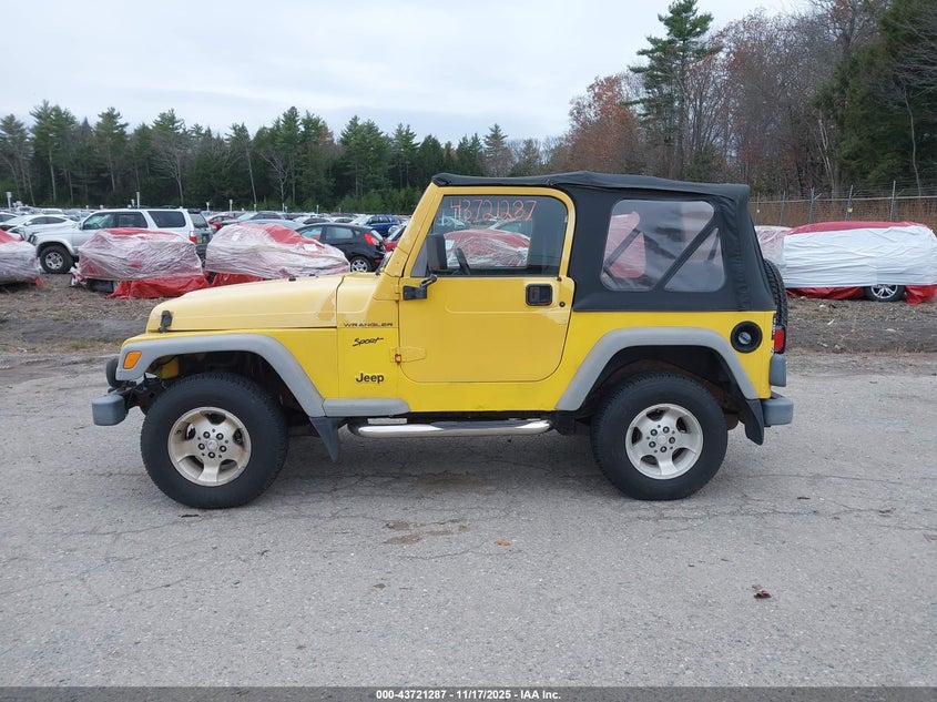 2002 Jeep Wrangler Sport VIN: 1J4FA49S32P710999 Lot: 43721287