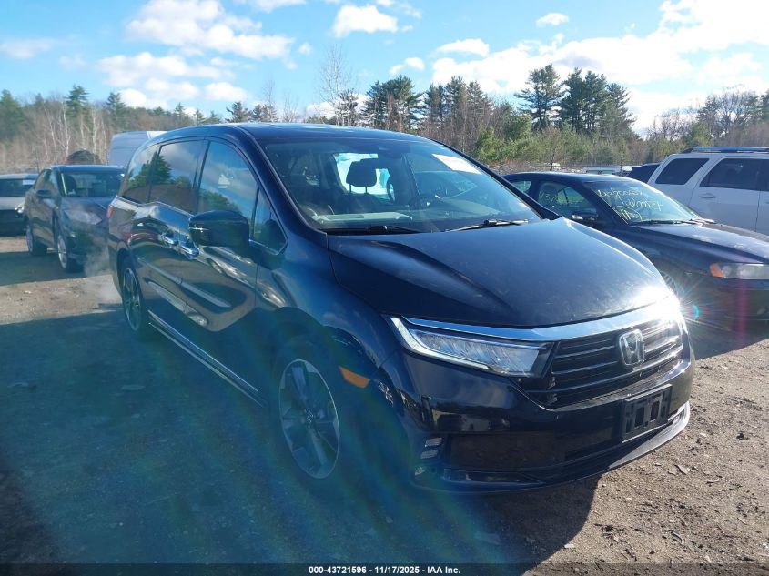 HONDA ODYSSEY ELITE