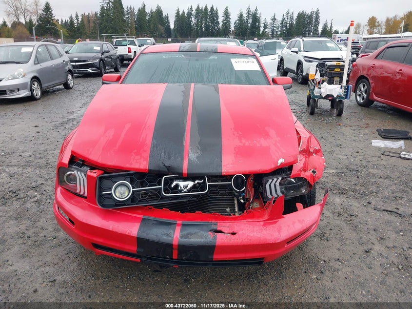 2006 Ford Mustang V6 VIN: 1ZVHT80N765200032 Lot: 43722050