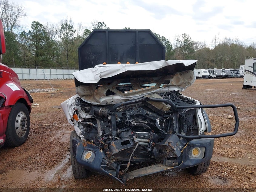 2015 Ford F-550 Chassis Xl VIN: 1FD0X5HT5FEA43019 Lot: 43722391