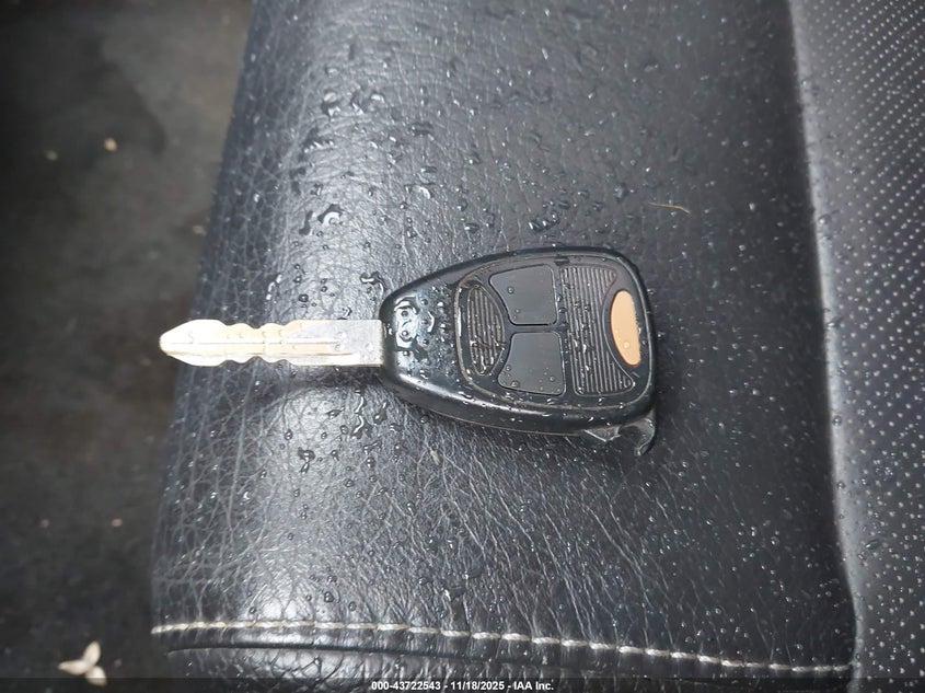 2011 Ford Mustang Gt Premium VIN: 1ZVBP8CF8B5158530 Lot: 43722543