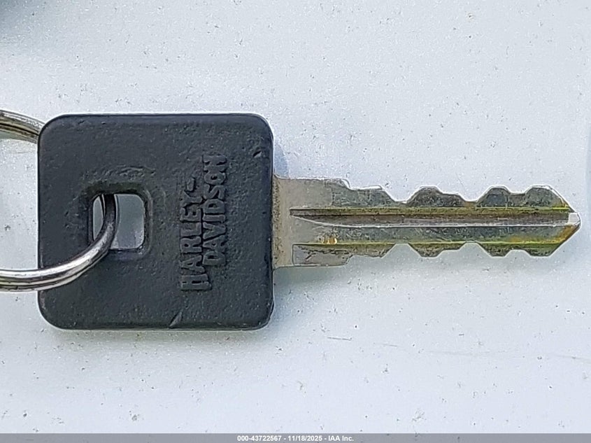 2015 Harley-Davidson Xl883 Iron 883 VIN: 1HD4LE235FC440928 Lot: 43722567