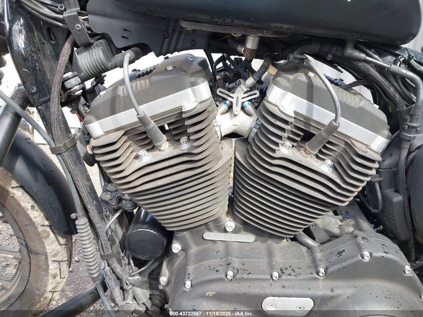 2015 Harley-Davidson Xl883 Iron 883 VIN: 1HD4LE235FC440928 Lot: 43722567