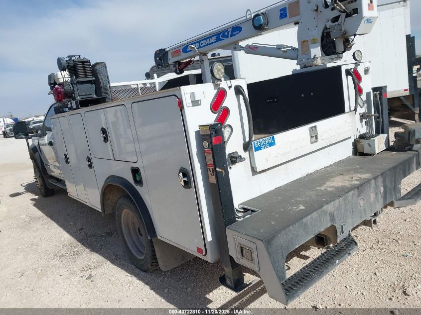 2020 Ford F-550 Chassis Xl VIN: 1FD0X5HTXLEE12131 Lot: 43722810