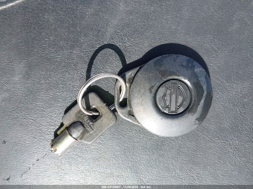 2003 Harley-Davidson Fxstdi Anniversary VIN: 1HD1JBB443Y055228 Lot: 43722887