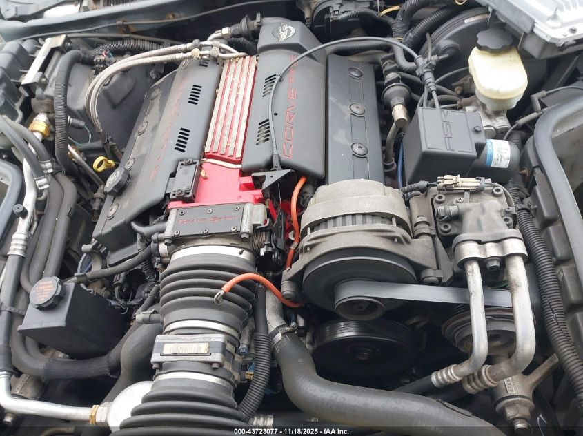 1996 Chevrolet Corvette VIN: 1G1YY2252T5106739 Lot: 43723077