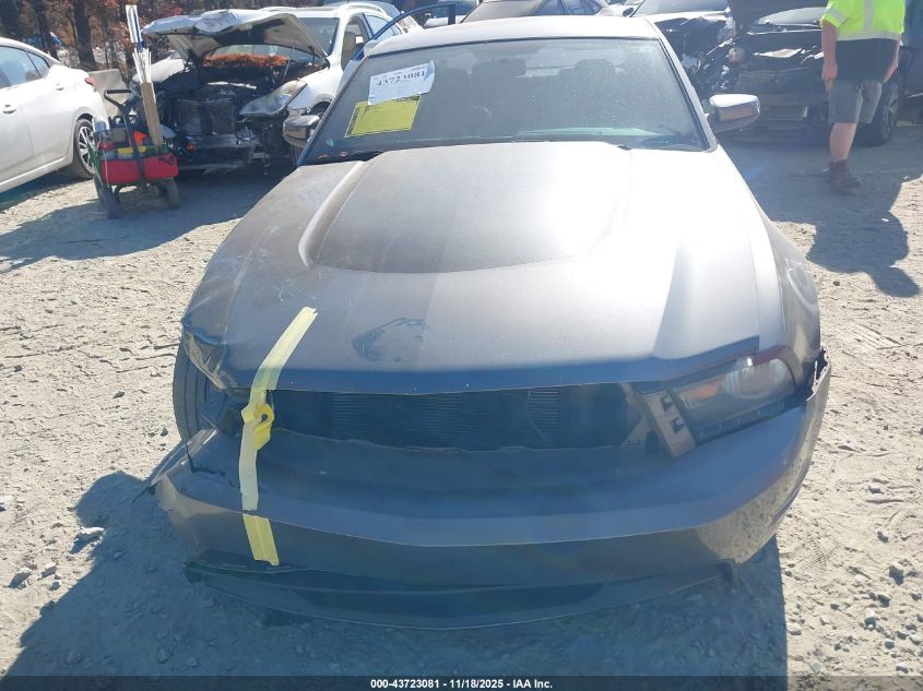 2010 Ford Mustang Gt/Gt Premium VIN: 1ZVBP8CH2A5105015 Lot: 43723081