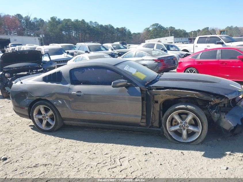 2010 Ford Mustang Gt/Gt Premium VIN: 1ZVBP8CH2A5105015 Lot: 43723081