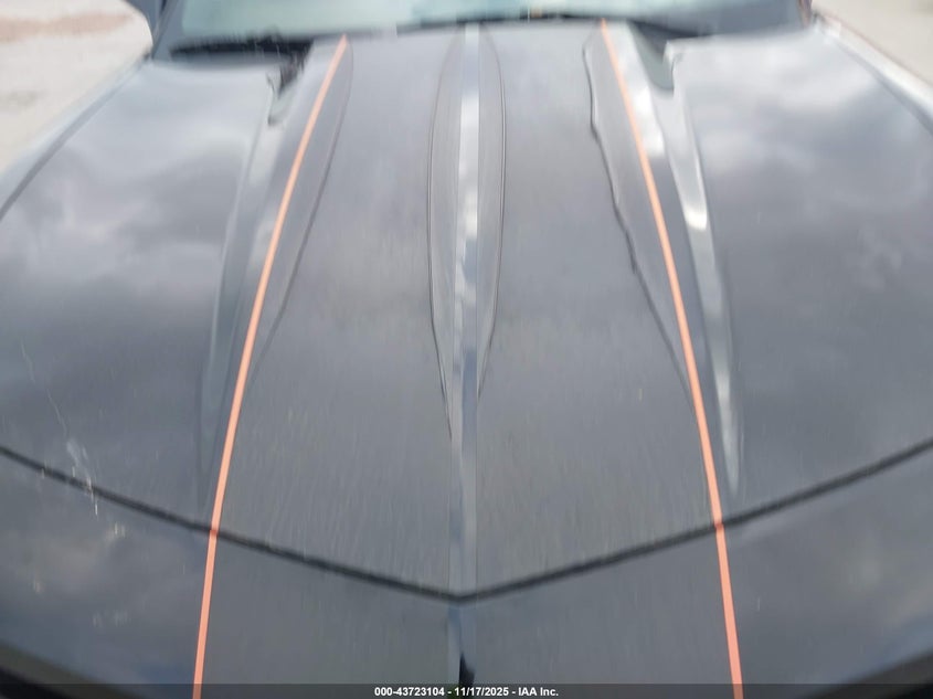 2012 Chevrolet Camaro 2Ls VIN: 2G1FA1E31C9202722 Lot: 43723104