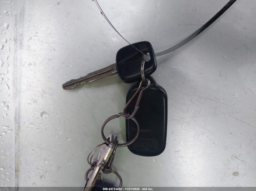 2004 Pontiac Vibe Sw 4Wd VIN: 5Y2FM62834C434126 Lot: 43723450