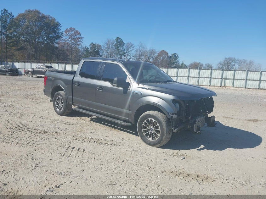 FORD F-150 XLT