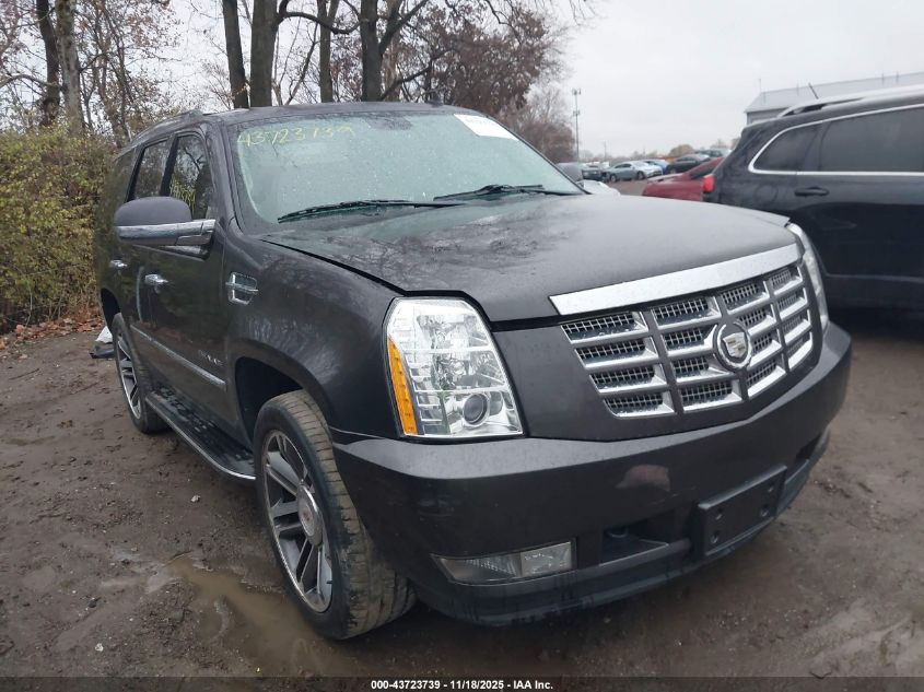 2011 Cadillac Escalade Luxury VIN: 1GYS4BEF0BR266603 Lot: 43723739