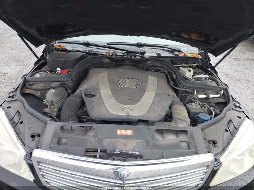 2009 Mercedes-Benz C 300 VIN: WDDGF81X69F228737 Lot: 43723826