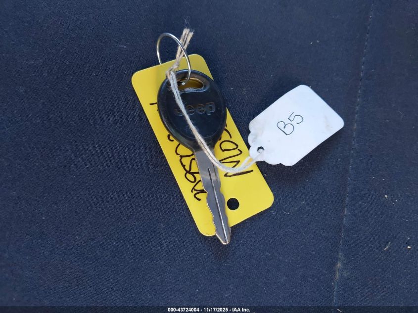 2000 Jeep Wrangler Sport VIN: 1J4FA49S5YP776043 Lot: 43724004