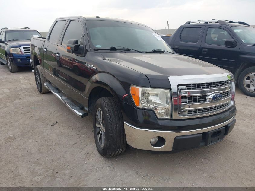 FORD F-150 XLT