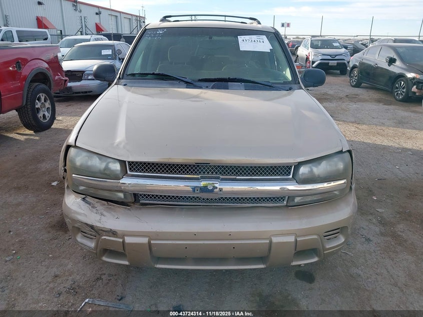 2006 Chevrolet Trailblazer Ls VIN: 1GNDT13S862205534 Lot: 43724314