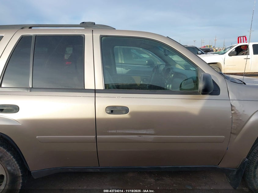 2006 Chevrolet Trailblazer Ls VIN: 1GNDT13S862205534 Lot: 43724314