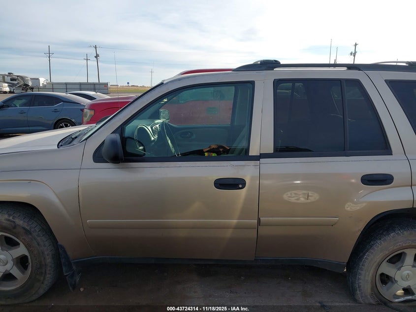 2006 Chevrolet Trailblazer Ls VIN: 1GNDT13S862205534 Lot: 43724314