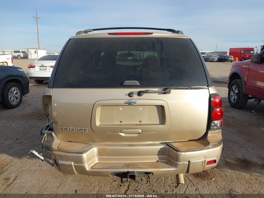 2006 Chevrolet Trailblazer Ls VIN: 1GNDT13S862205534 Lot: 43724314