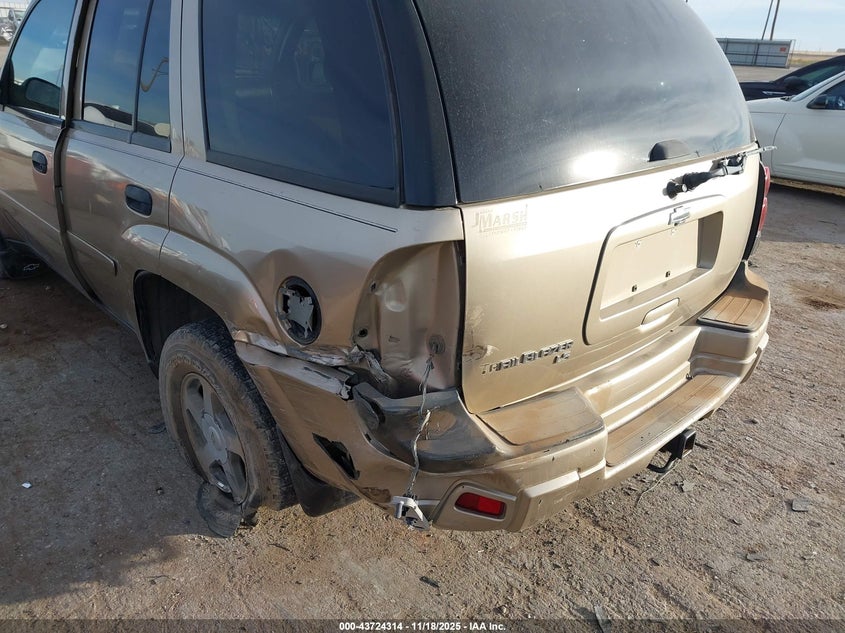 2006 Chevrolet Trailblazer Ls VIN: 1GNDT13S862205534 Lot: 43724314