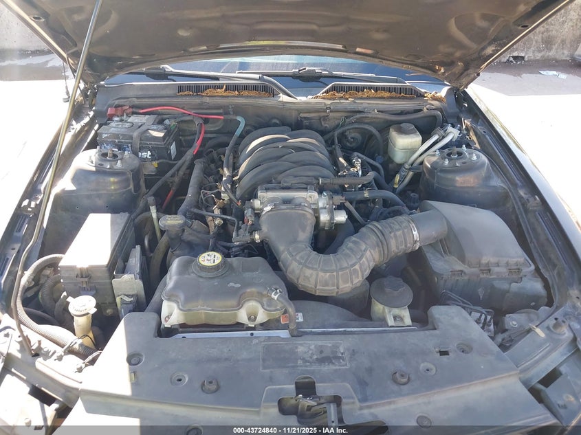 2008 Ford Mustang Gt Deluxe/Gt Premium VIN: 1ZVHT85H485201595 Lot: 43724840