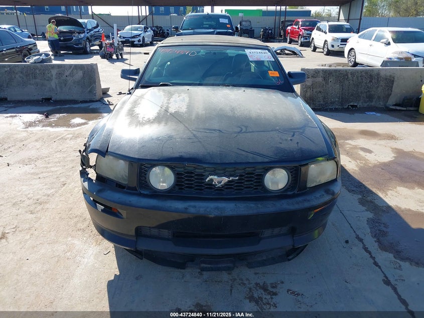 2008 Ford Mustang Gt Deluxe/Gt Premium VIN: 1ZVHT85H485201595 Lot: 43724840