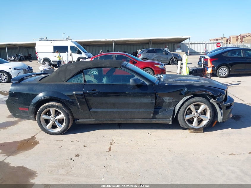 2008 Ford Mustang Gt Deluxe/Gt Premium VIN: 1ZVHT85H485201595 Lot: 43724840